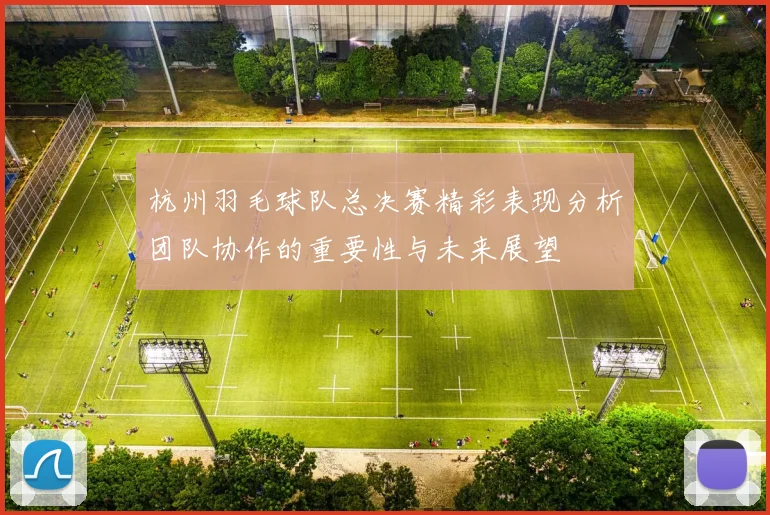 杭州羽毛球队总决赛精彩表现分析团队协作的重要性与未来展望